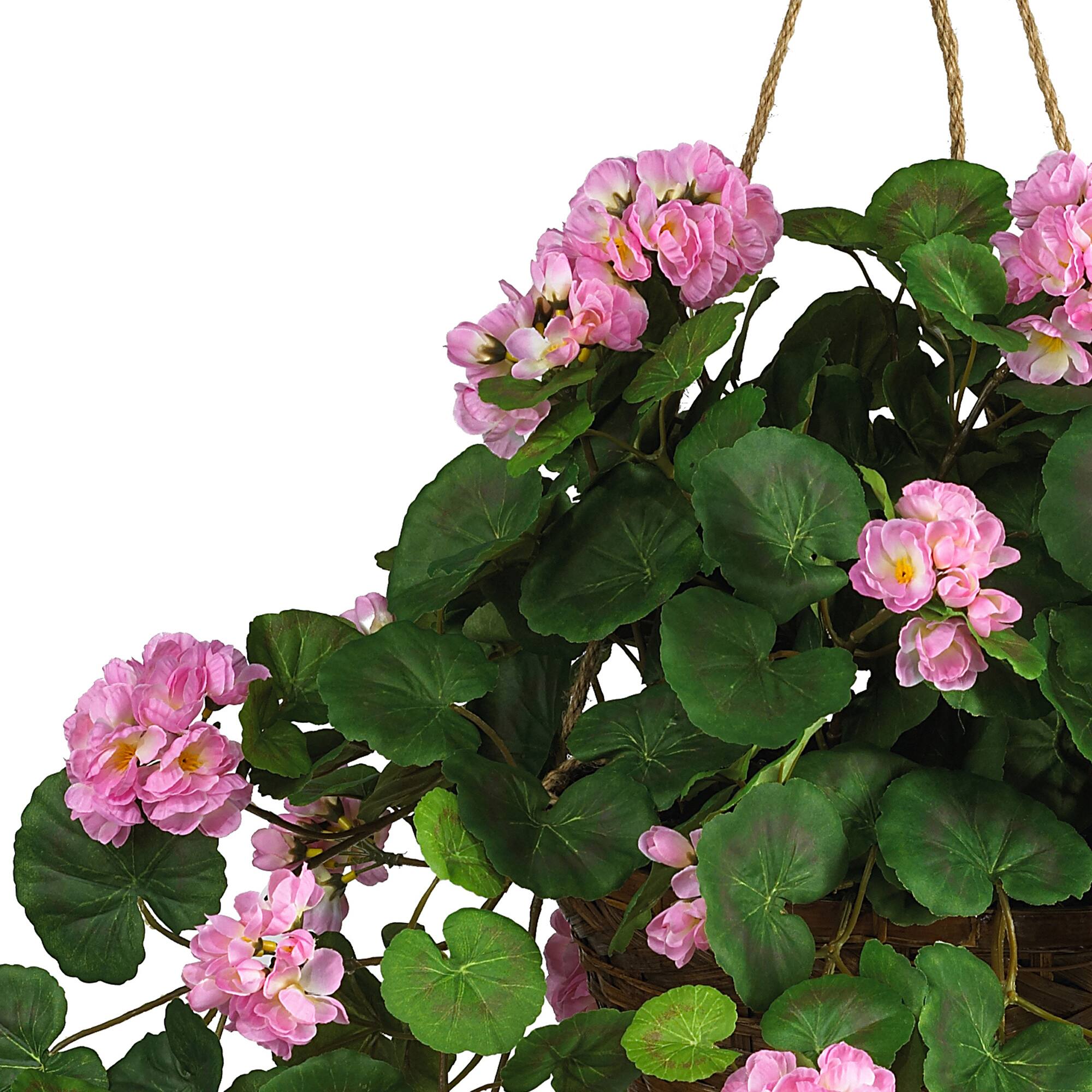 24" Geranium in Hanging Basket
